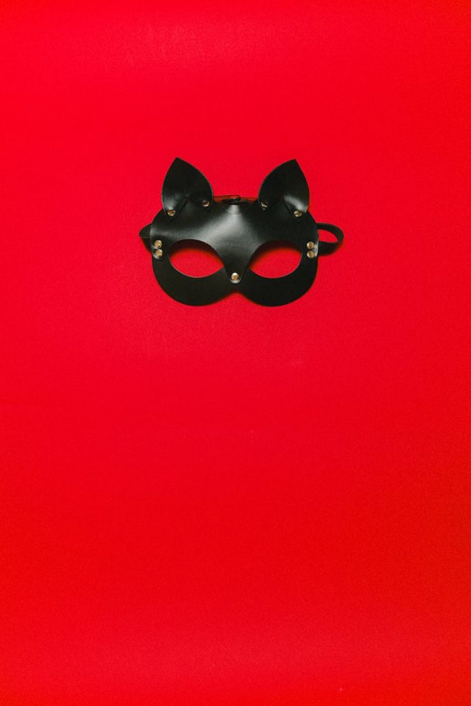 Histoire BDSM : sissy dans l’obéissance totale Black leather cat mask on a red backdrop, symbolizing mystery and sensuality.