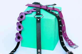 Harnais BDSM : accessoires esthétiques pour sublimer la silhouette